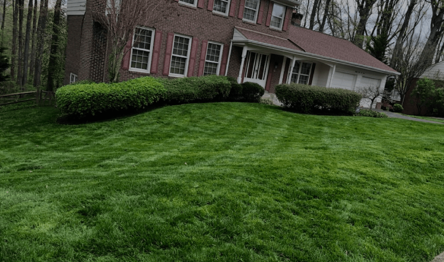 LAWN MOWING